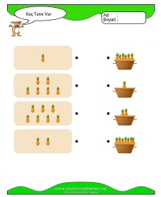 Kaç Tane Var Çalışma Sayfaları